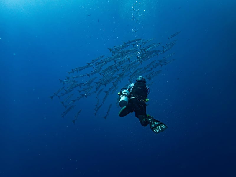 Underwater Explorations